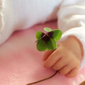 small child holds a four leaf clover