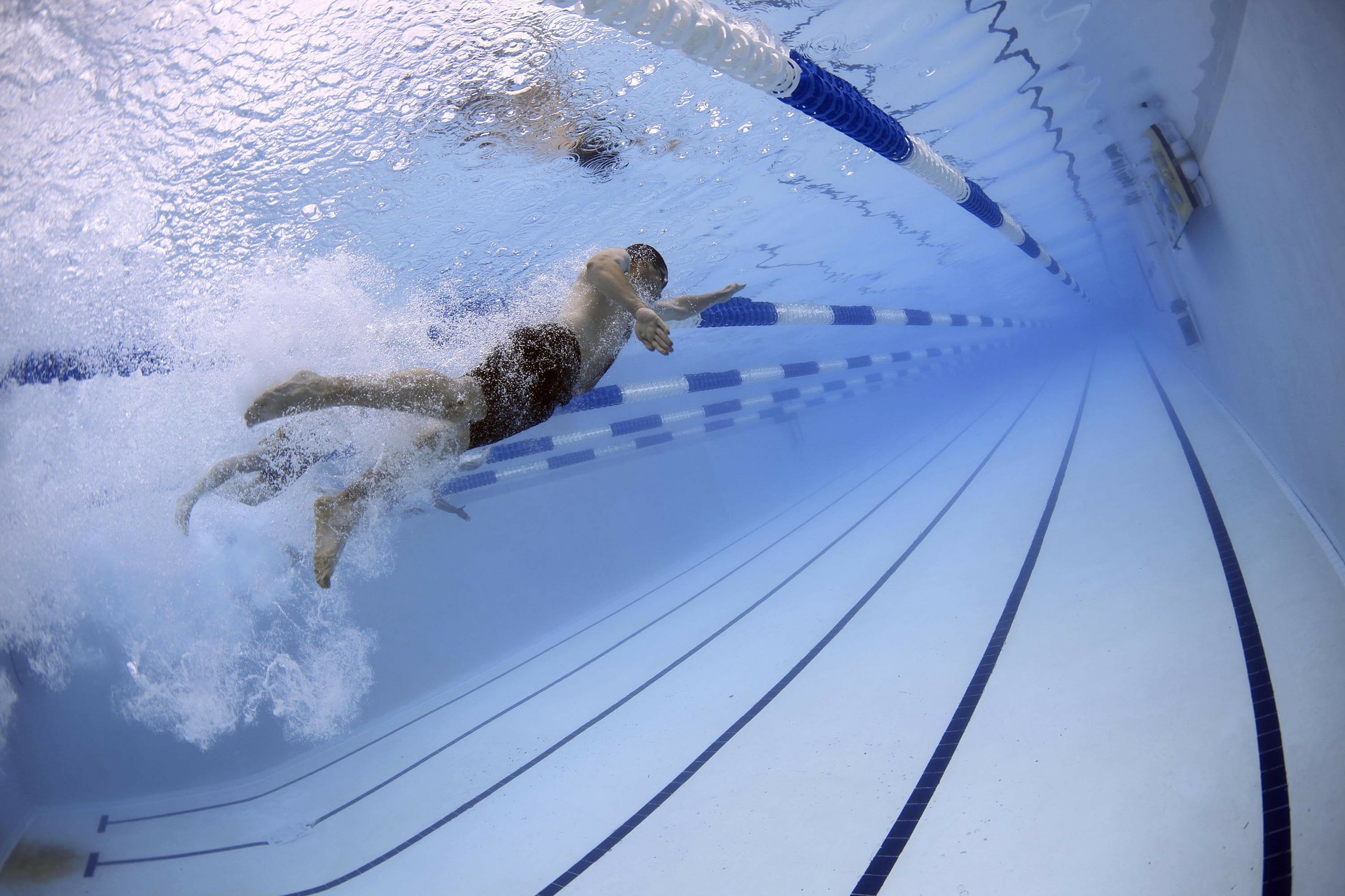 swimmer swims in a pool