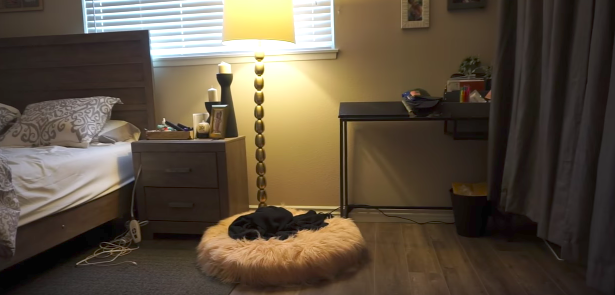 picture of steph's room