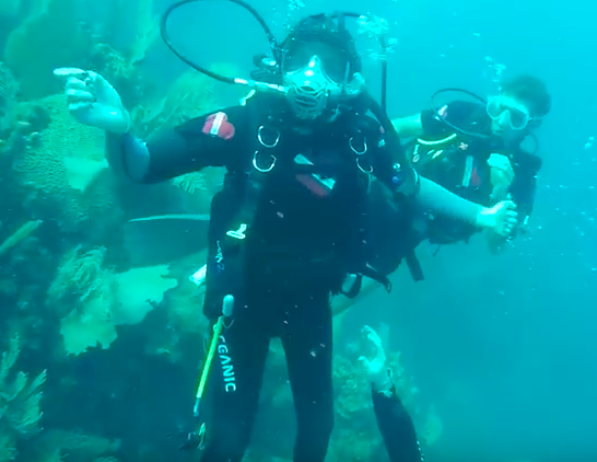 Amber scuba diving