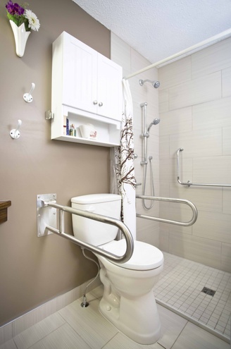 toilet set up with grab bars