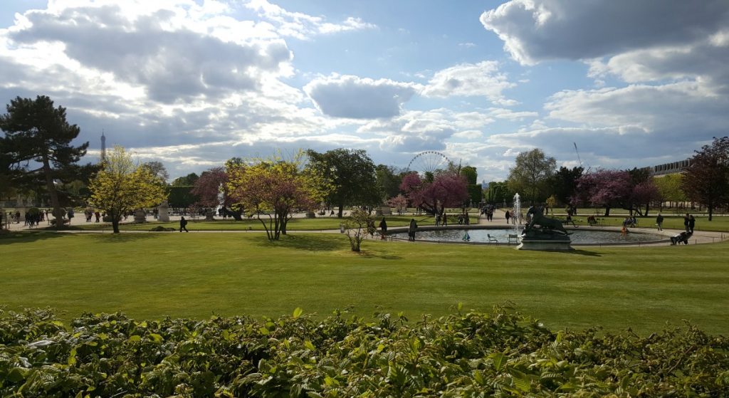 Picture of Tuilieries Garden