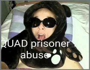 Ali dressed as a bear wearing sunglasses with words underneath that says "Quad prisoner abuse"