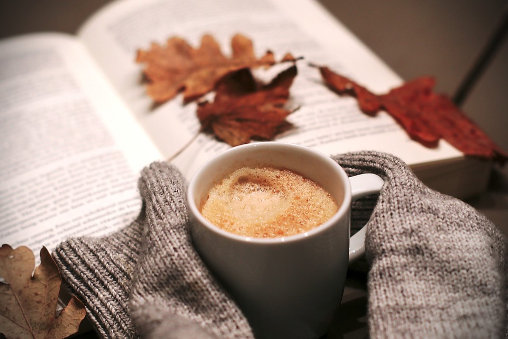 hands wrapped in sweater, holding mug with coffee with a book and leaves in the background