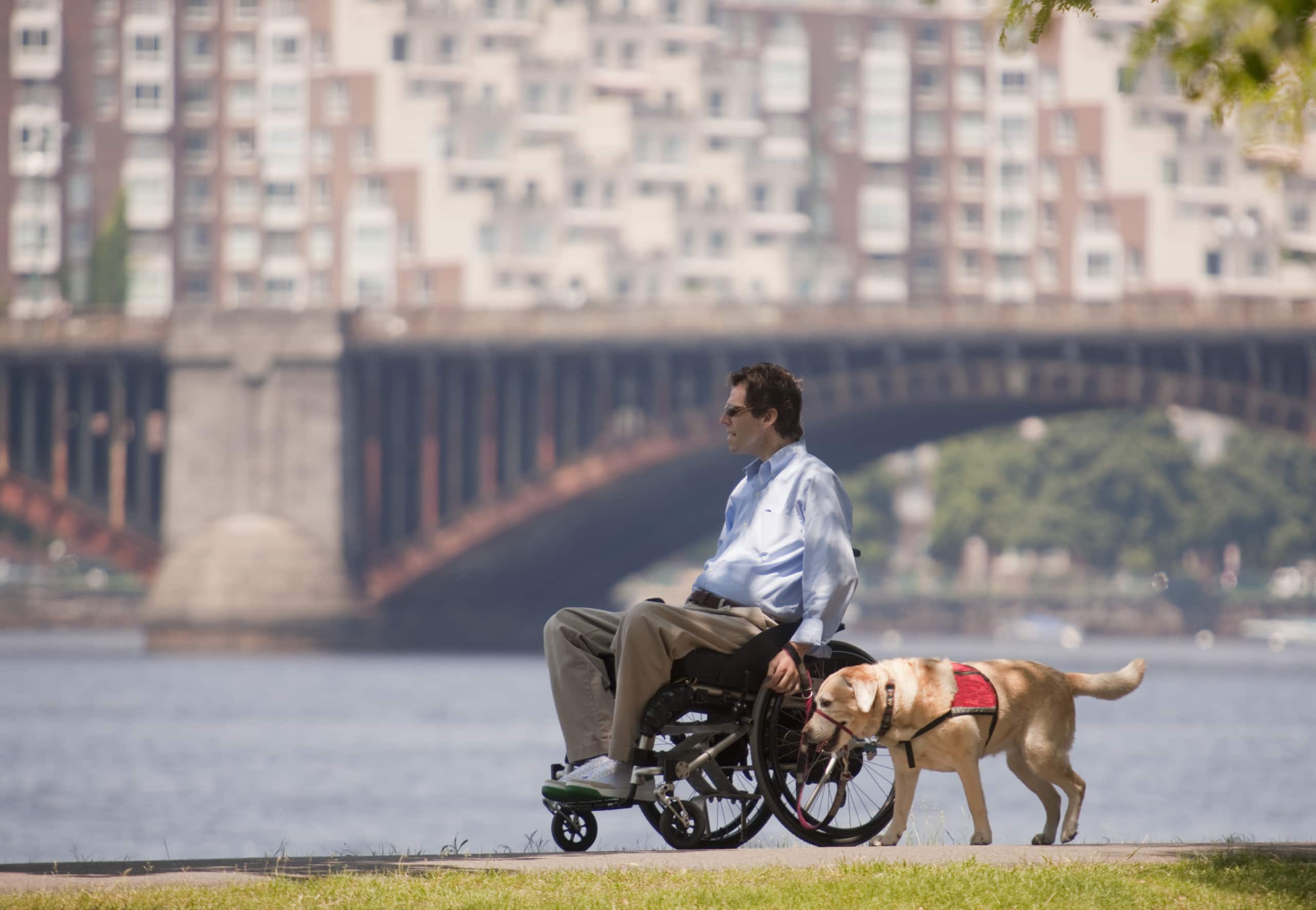 Male wheelchair user walking his dog on a trail in a park overlooking a river.