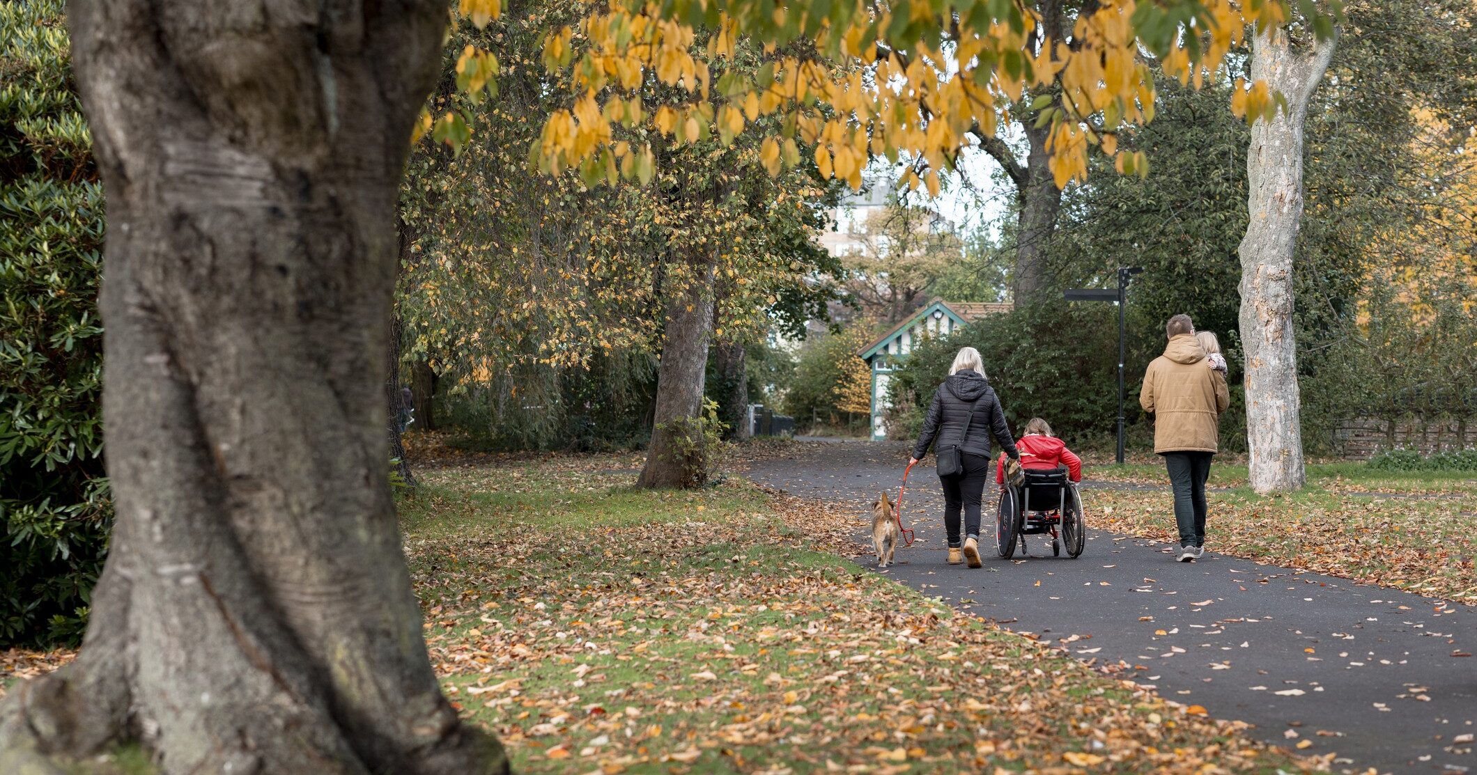 A wide-angle rear view of a family walking through a public park in