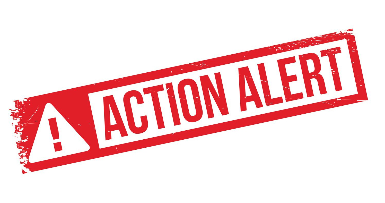 Action alert rubber stamp. Grunge design with dust scratches. Effects can be easily removed for a clean, crisp look. Color is easily changed.